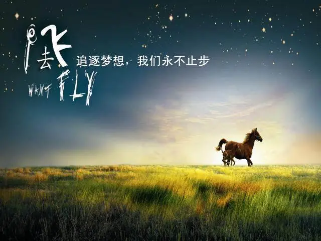 企業(yè)新開項(xiàng)目和創(chuàng)業(yè)者