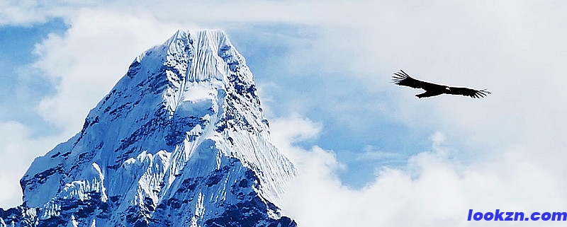 引領(lǐng)未來(lái)智能生活：錄客智能科技公司，為您開(kāi)啟業(yè)務(wù)新篇章